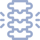 Stylized icon of a human spine with nerve roots extending from the sides.